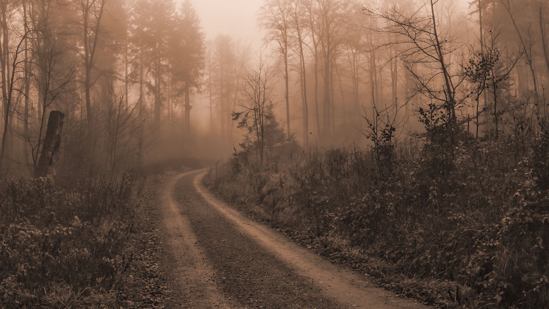 Phong cảnh con đường dẫn vào thung lũng sương mù 41
