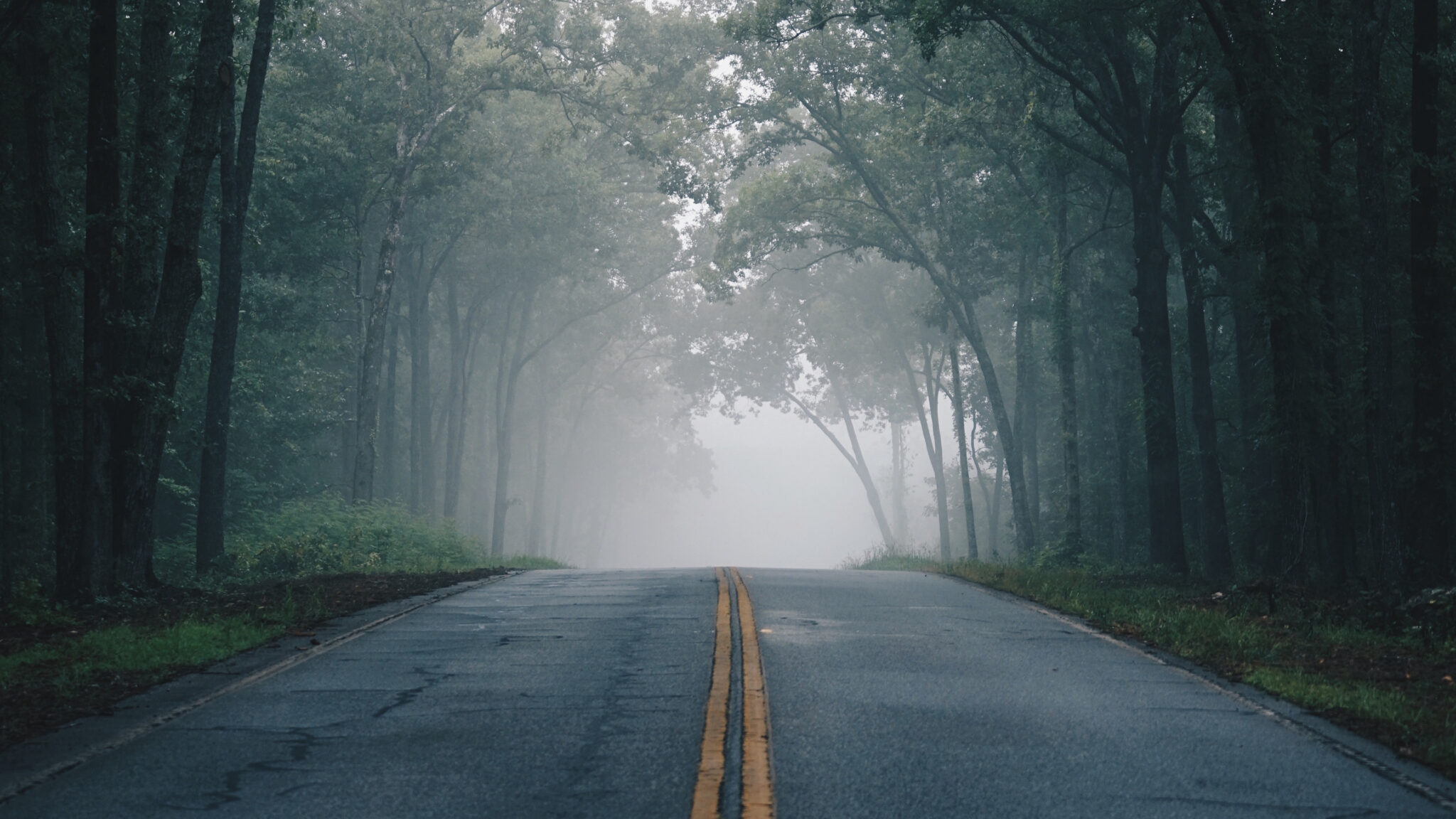 Phong cảnh con đường dẫn vào thung lũng sương mù 44