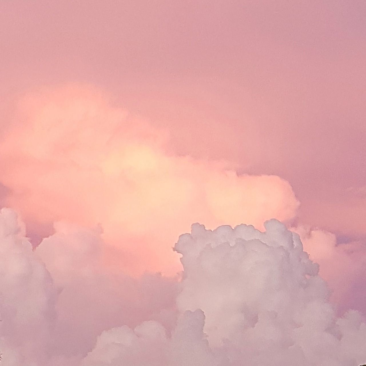 Phong cảnh đám mây màu hồng lãng mạn 27