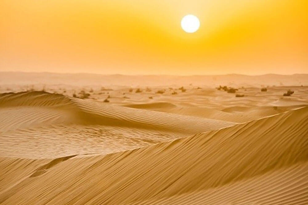 Phong cảnh đồi cát vàng 40