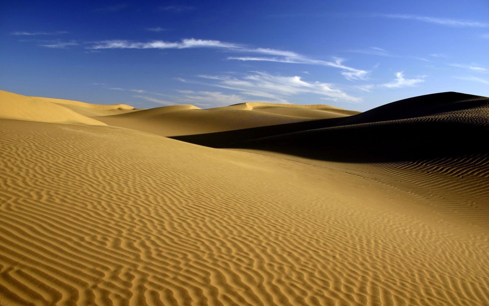 Phong cảnh đồi cát vàng 43