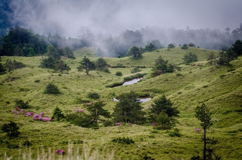 Phong cảnh núi rừng 33