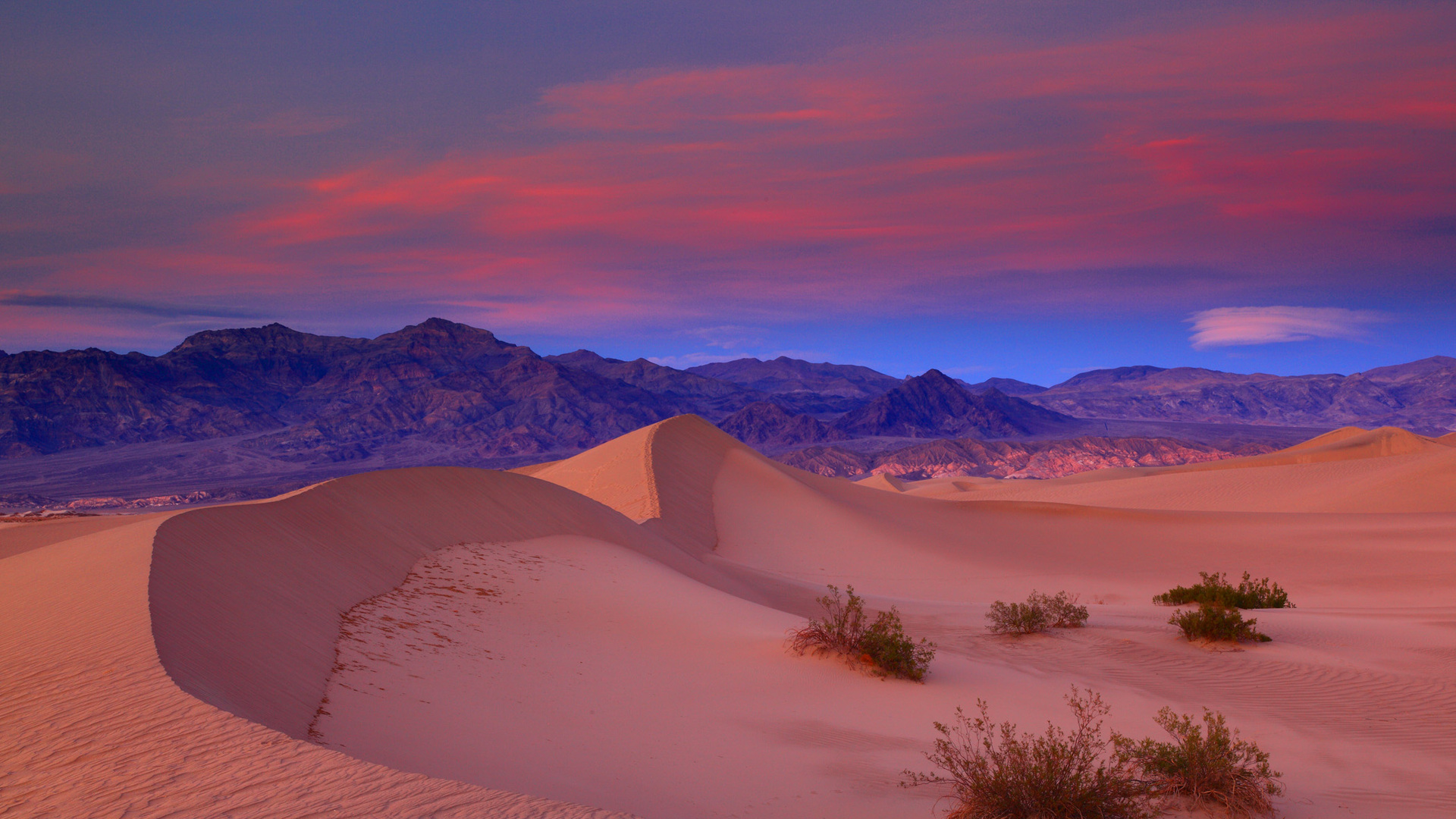 Phong cảnh sa mạc 9