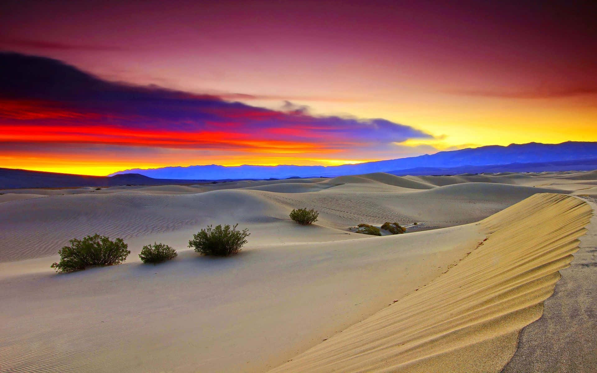 Phong cảnh sa mạc 34