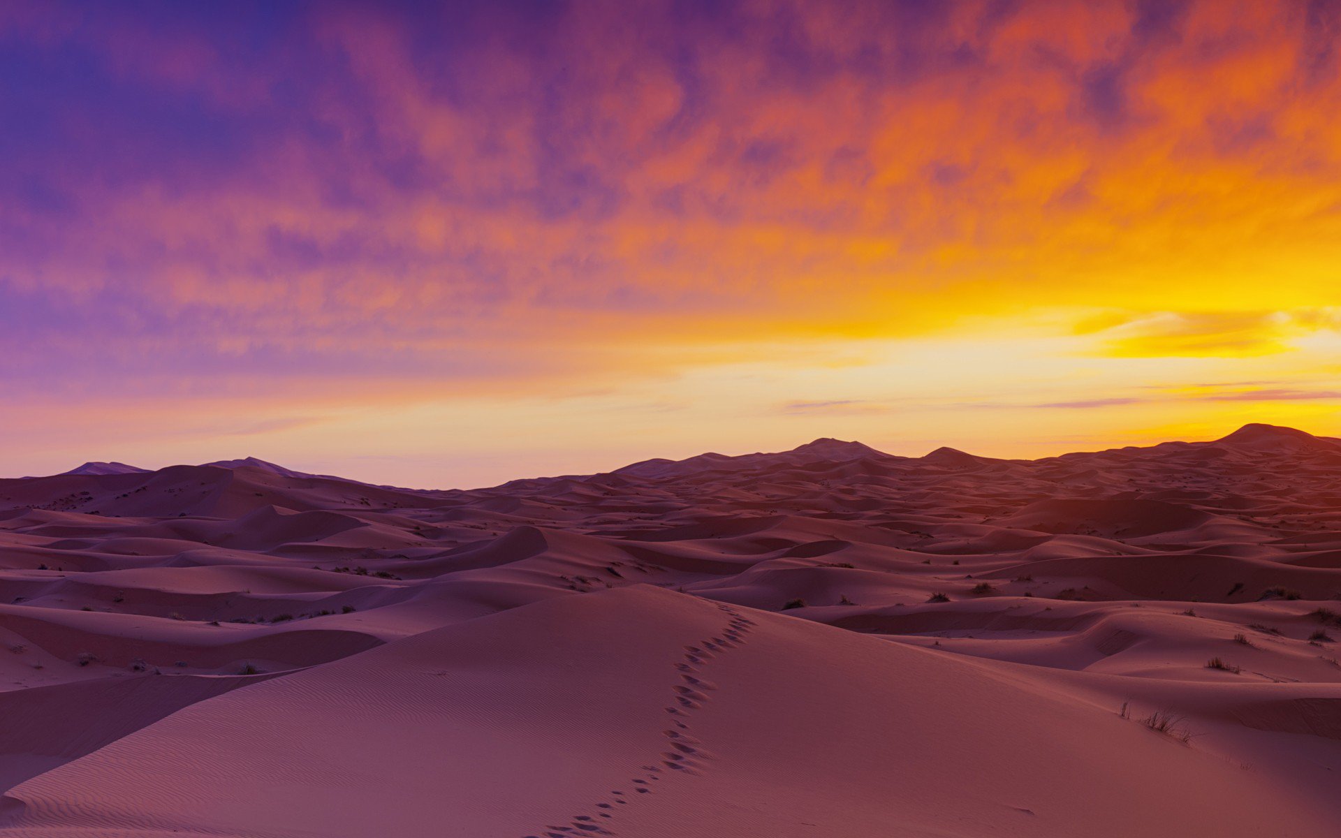 Phong cảnh sa mạc 41