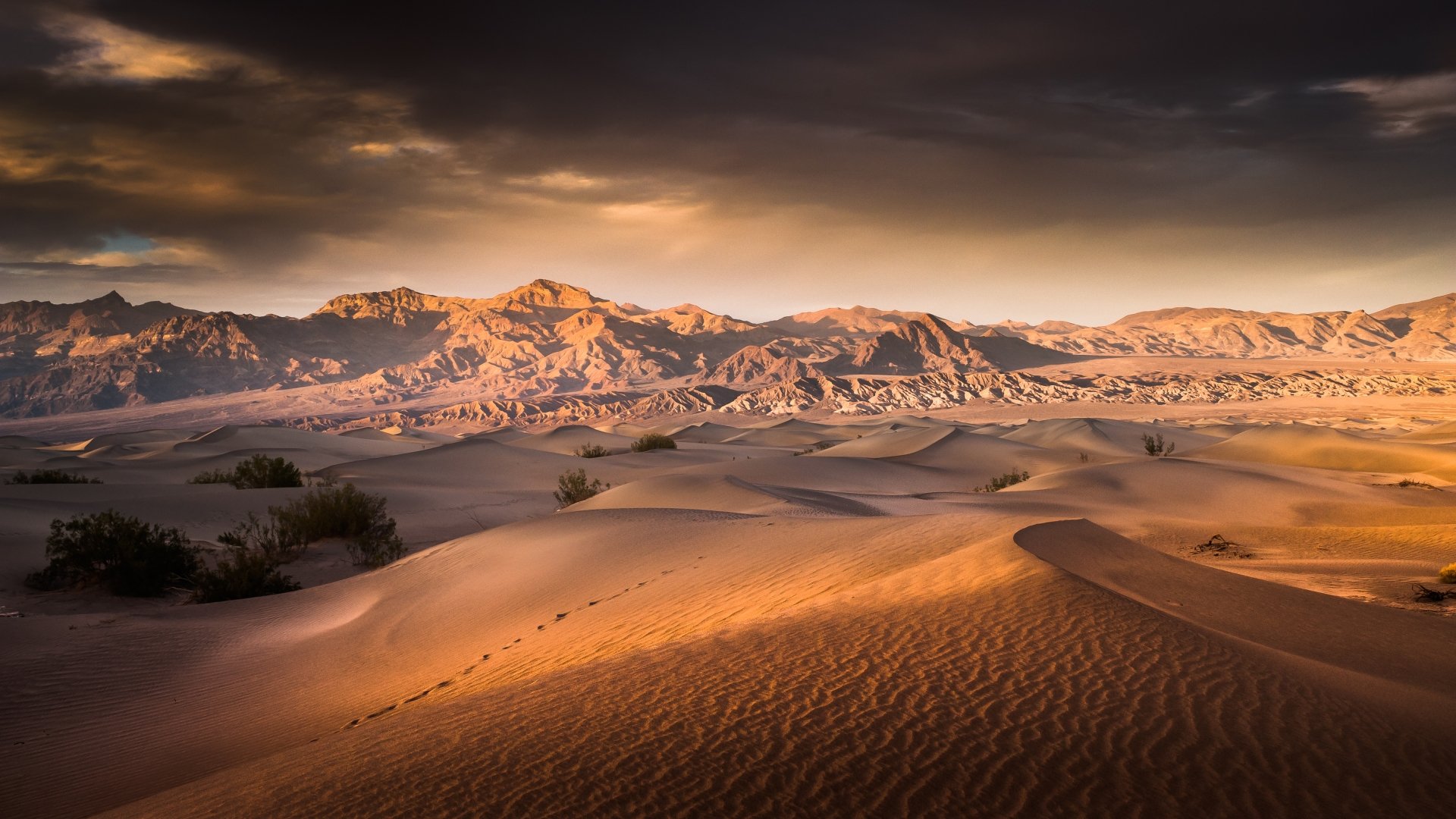 Phong cảnh sa mạc 46