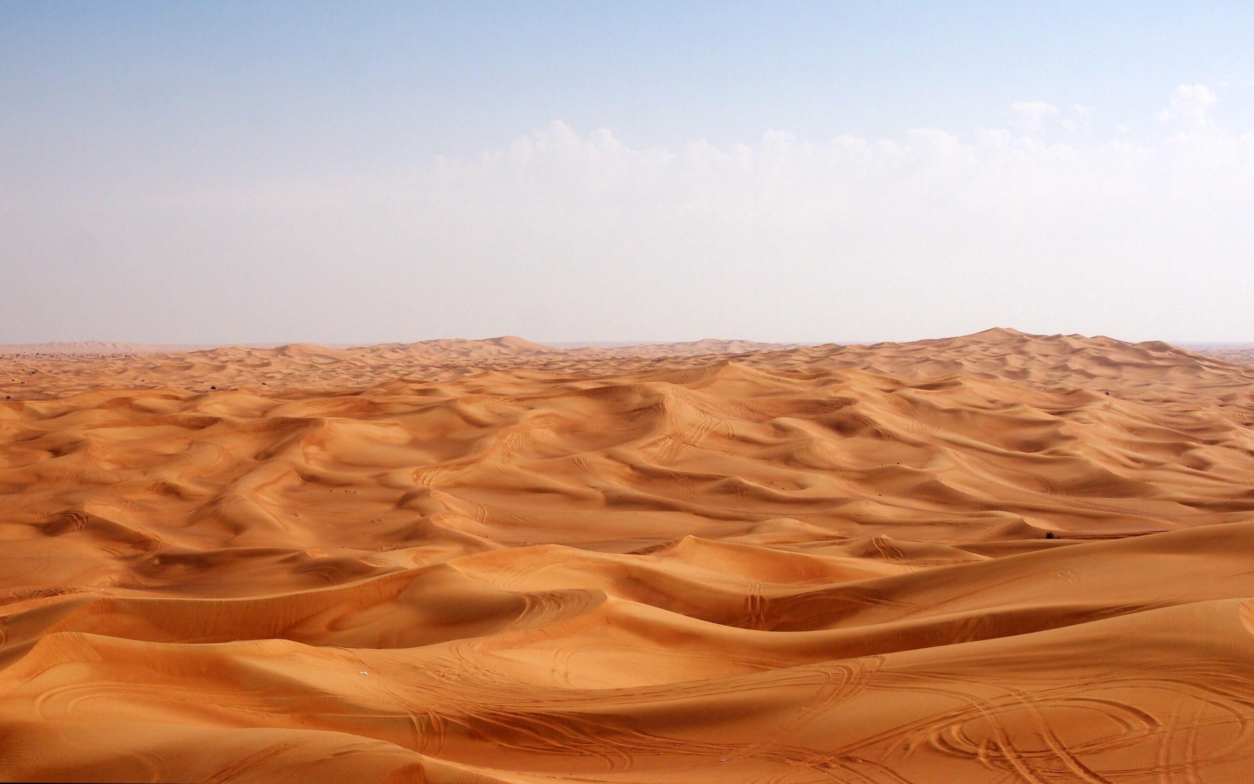Phong cảnh sa mạc 48