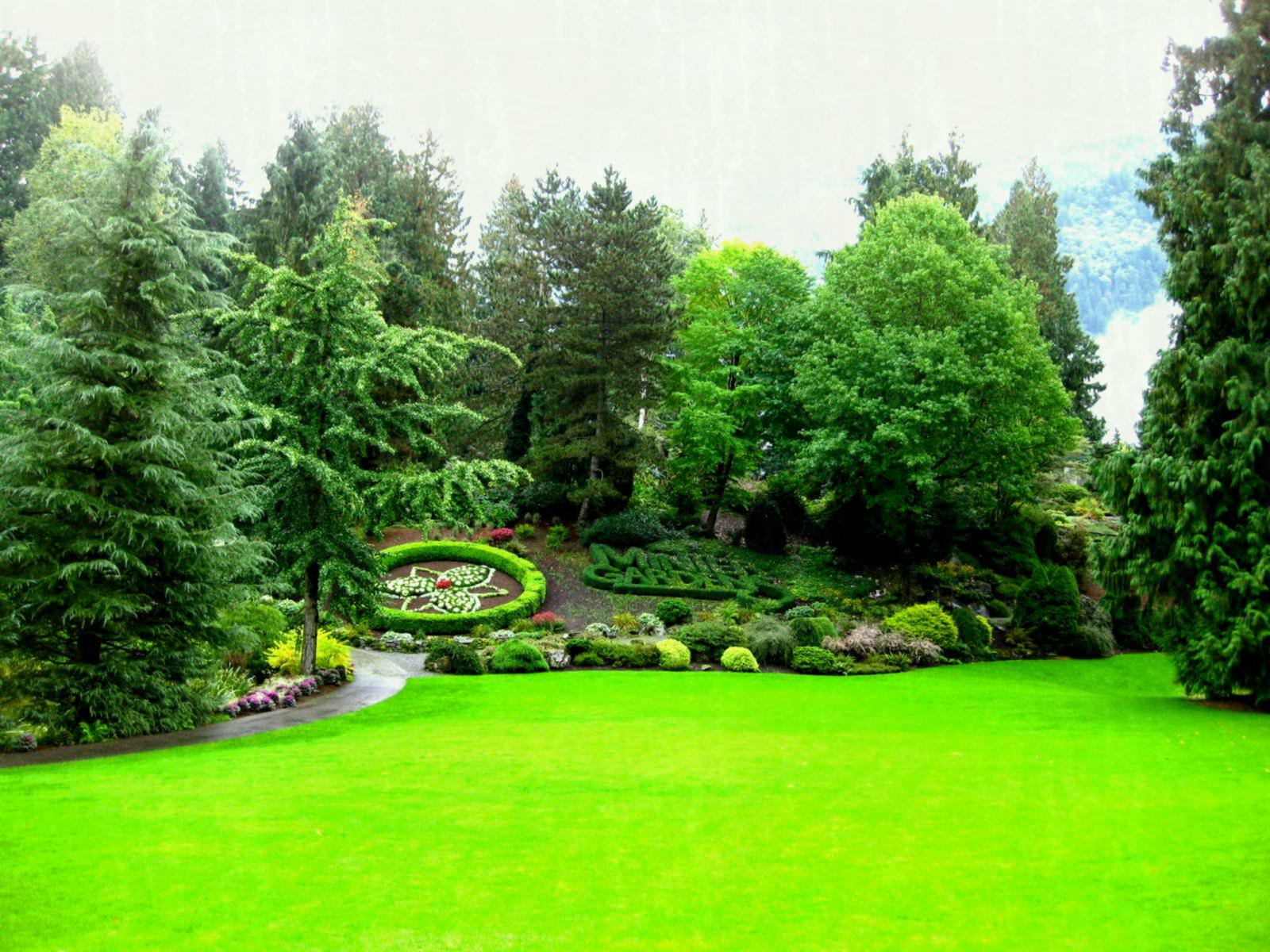 Phong cảnh vườn cây xanh mát 39
