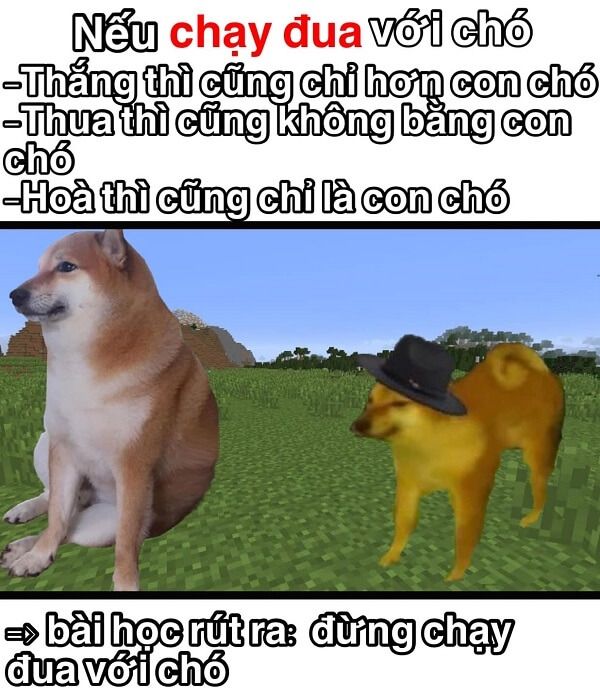 shiba meme 30