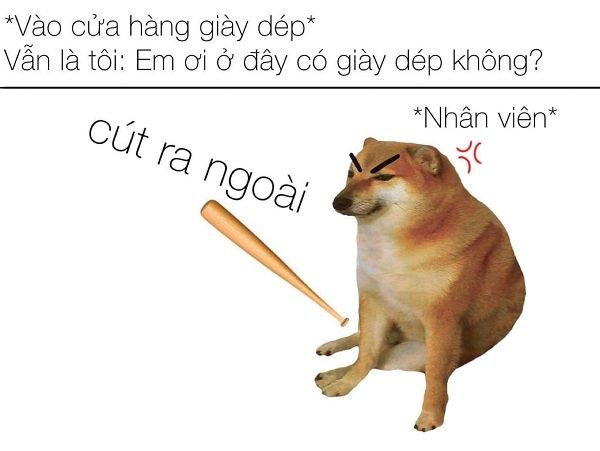 shiba meme 35