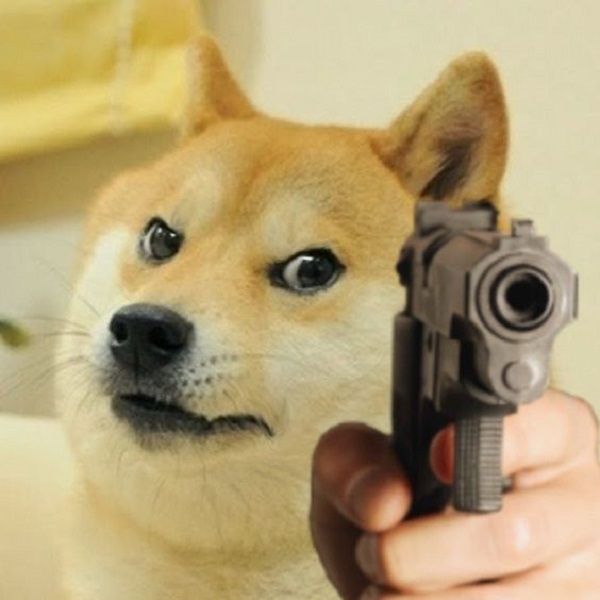 shiba meme 39