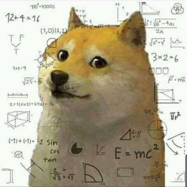 shiba meme 40