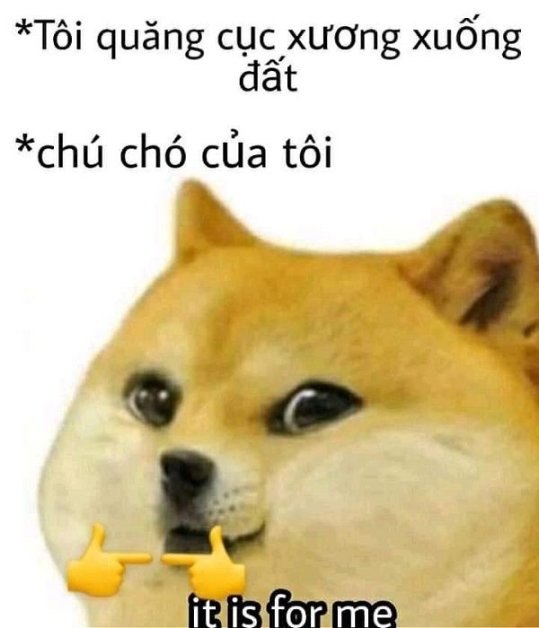 shiba meme 47