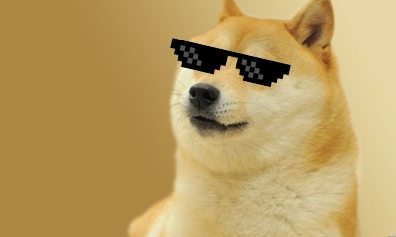 shiba meme 25