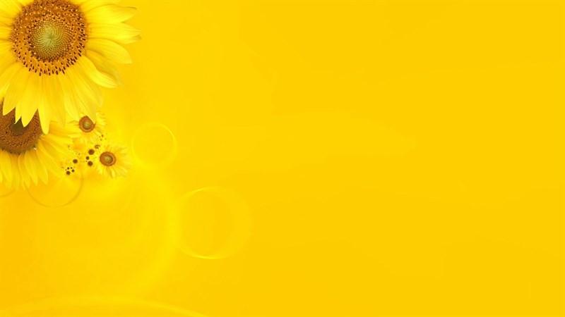 Hình nền màu vàng cho máy tính 5