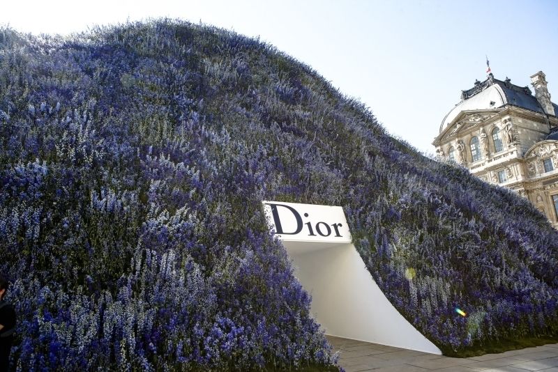 ảnh Dior 8