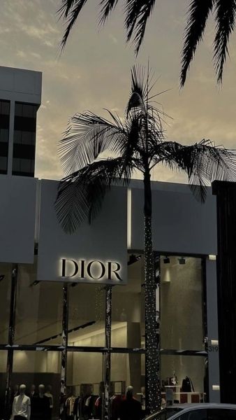 ảnh Dior 13