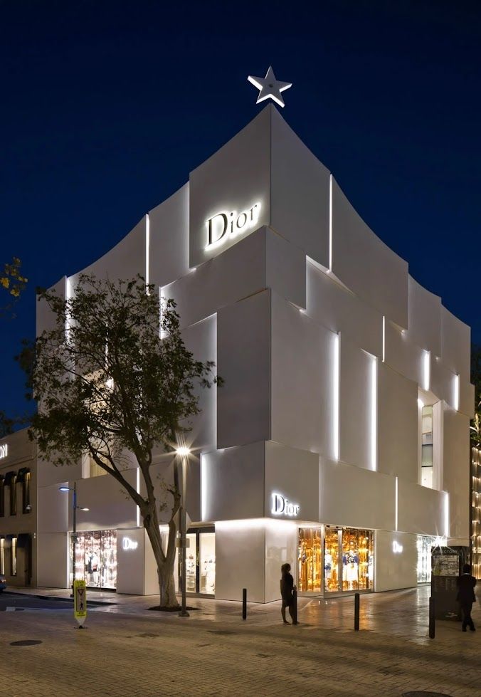 ảnh Dior 5