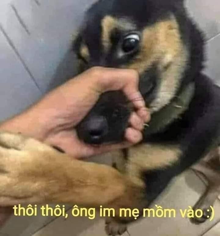 ảnh meme vô tri 25