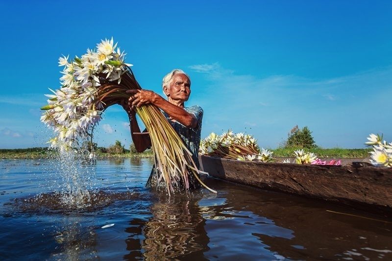 Hình ảnh quê hương đất nước 5