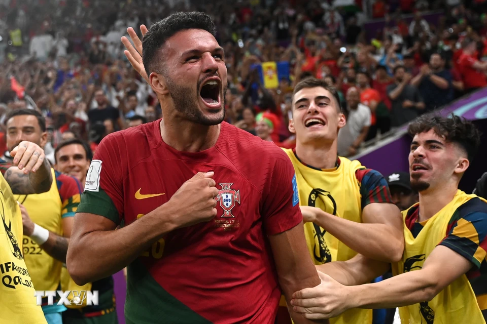Ảnh các cầu thủ đội tuyển Bồ Đào Nha ăn mừng chiến thắng 3