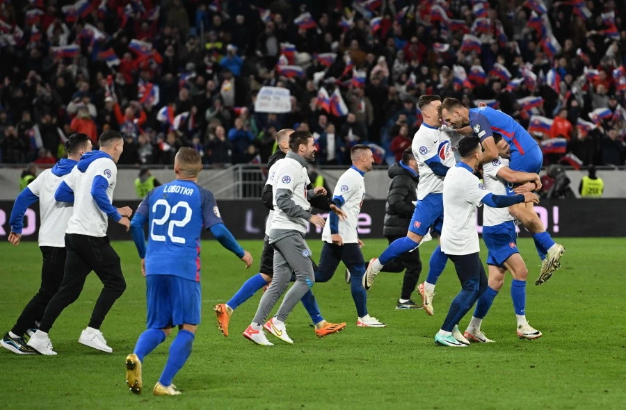 Khoảnh khắc đẹp của đội tuyển Slovakia 8