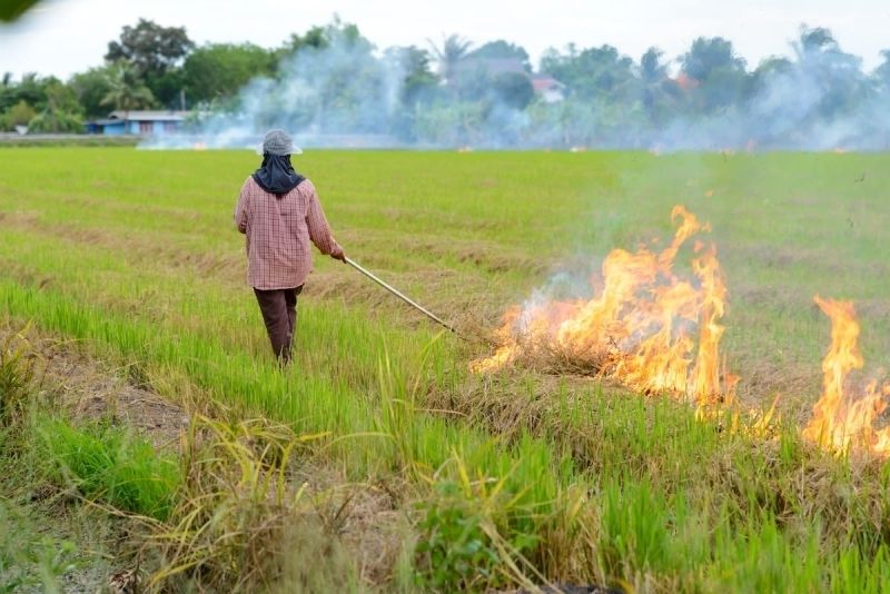 Hình ảnh ô nhiễm môi trường không khí 4