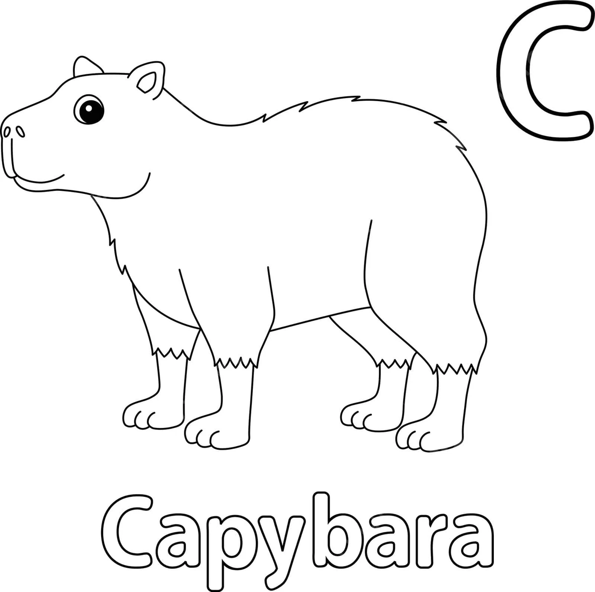 Tải ngay 333+  tranh tô màu capybara vui nhộn cho bé 40