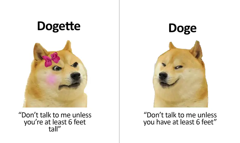 Doge meme 4