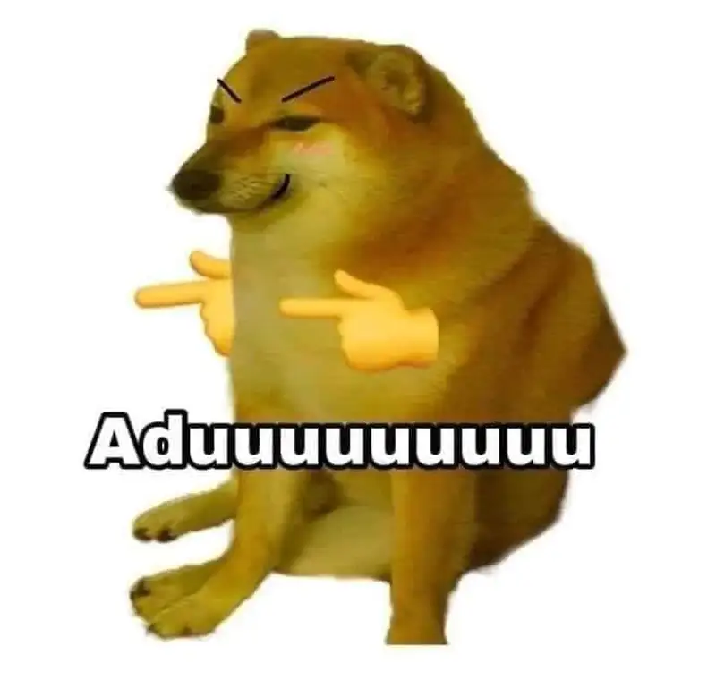 Doge meme 5