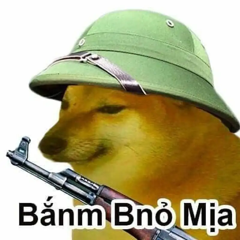 Doge meme 7