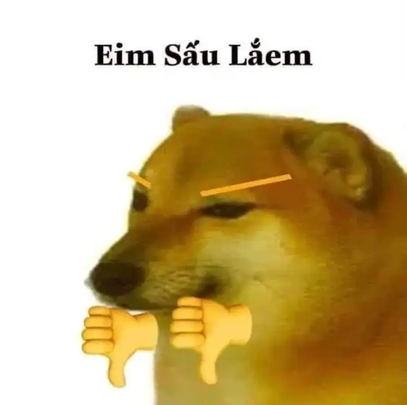 Doge meme 13