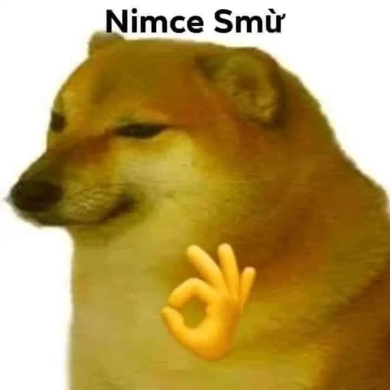 Doge meme 18