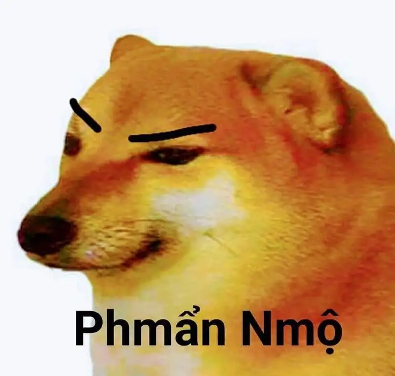 Doge meme 20