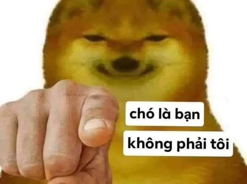 Doge meme 22