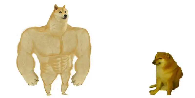 Doge meme 26