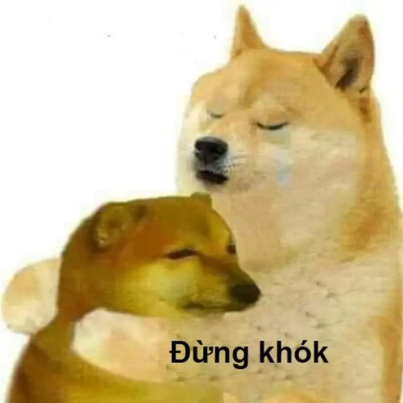 Doge meme 31