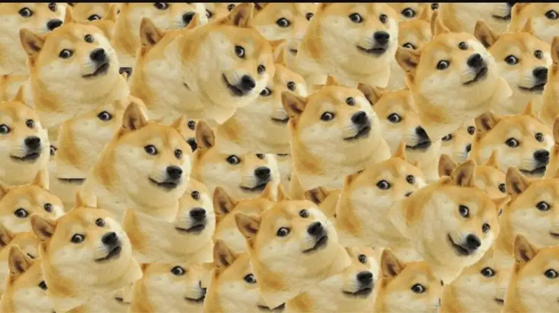 Doge meme 34