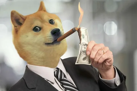 Doge meme 35