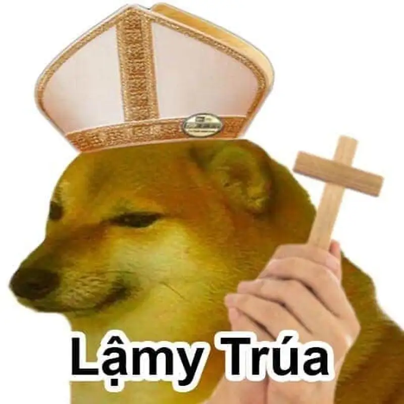 Doge meme 36