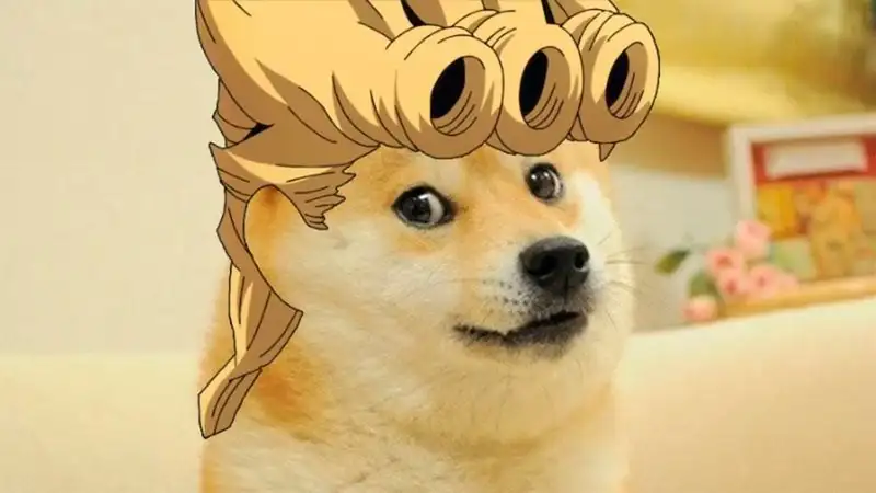 Doge meme 37