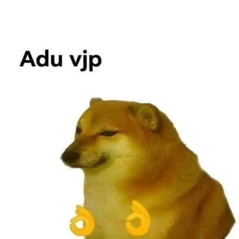 Doge meme 38