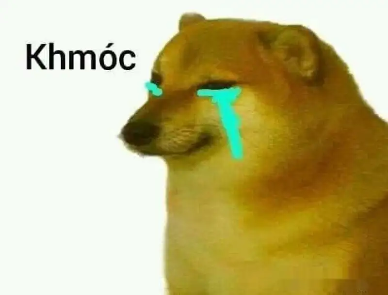 Doge meme 44