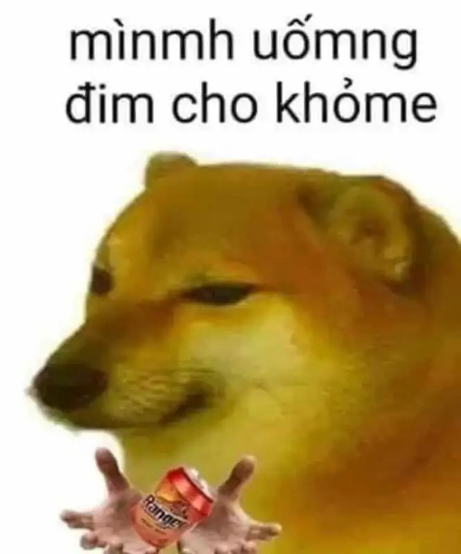 Doge meme 48