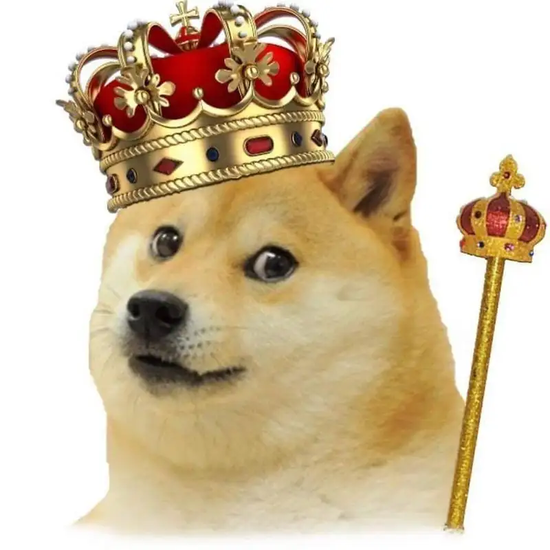 Doge meme 49