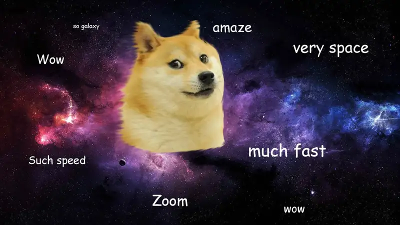 Doge meme 51