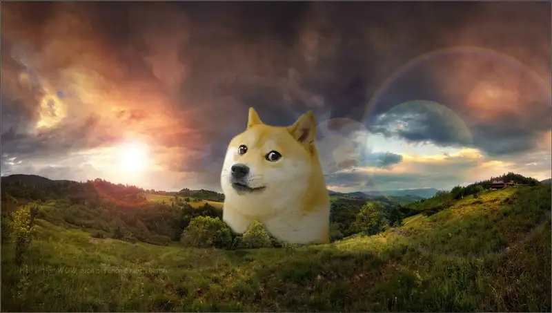 Doge meme 53