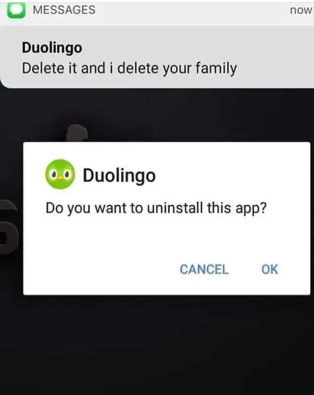 Duolingo meme 1