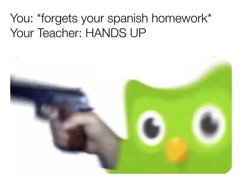 Duolingo meme 6