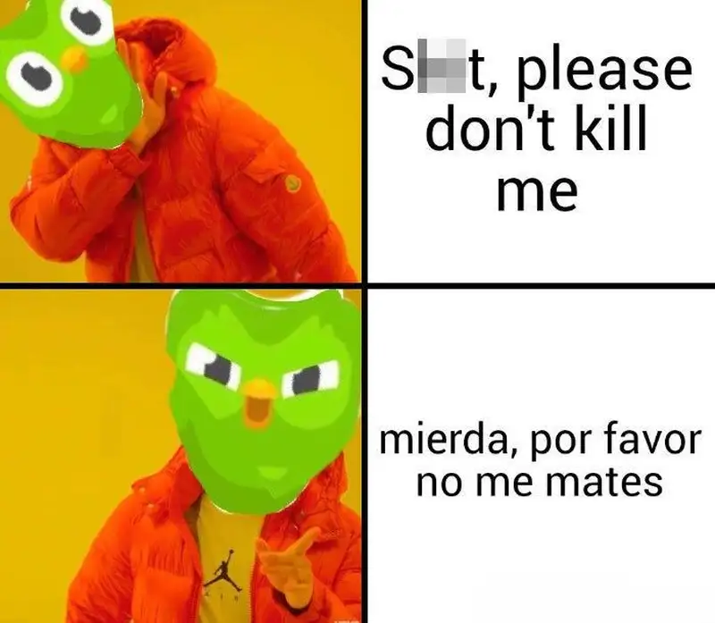 Duolingo meme 10